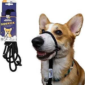Heather's Heroes The Sidekick Transitional Dog Training Leash, Black, Mini: 6-ft long, 1/4-in wide