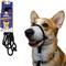 Show in main carousel: Heather's Heroes The Sidekick Transitional Dog Training Leash, Black, Mini: 6-ft long, 1/4-in wide slide 1 of 8