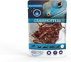 Jurassic Natural Super Fresh Grasshopper, 8 count