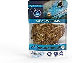 Jurassic Natural Super Fresh Mealworm, 0.70-oz