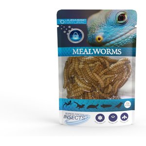 Jurassic Natural Super Fresh Mealworm, 0.70-oz
