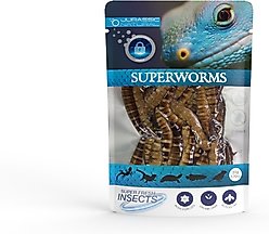 Jurassic Natural Super Fresh Superworm, 0.70-oz