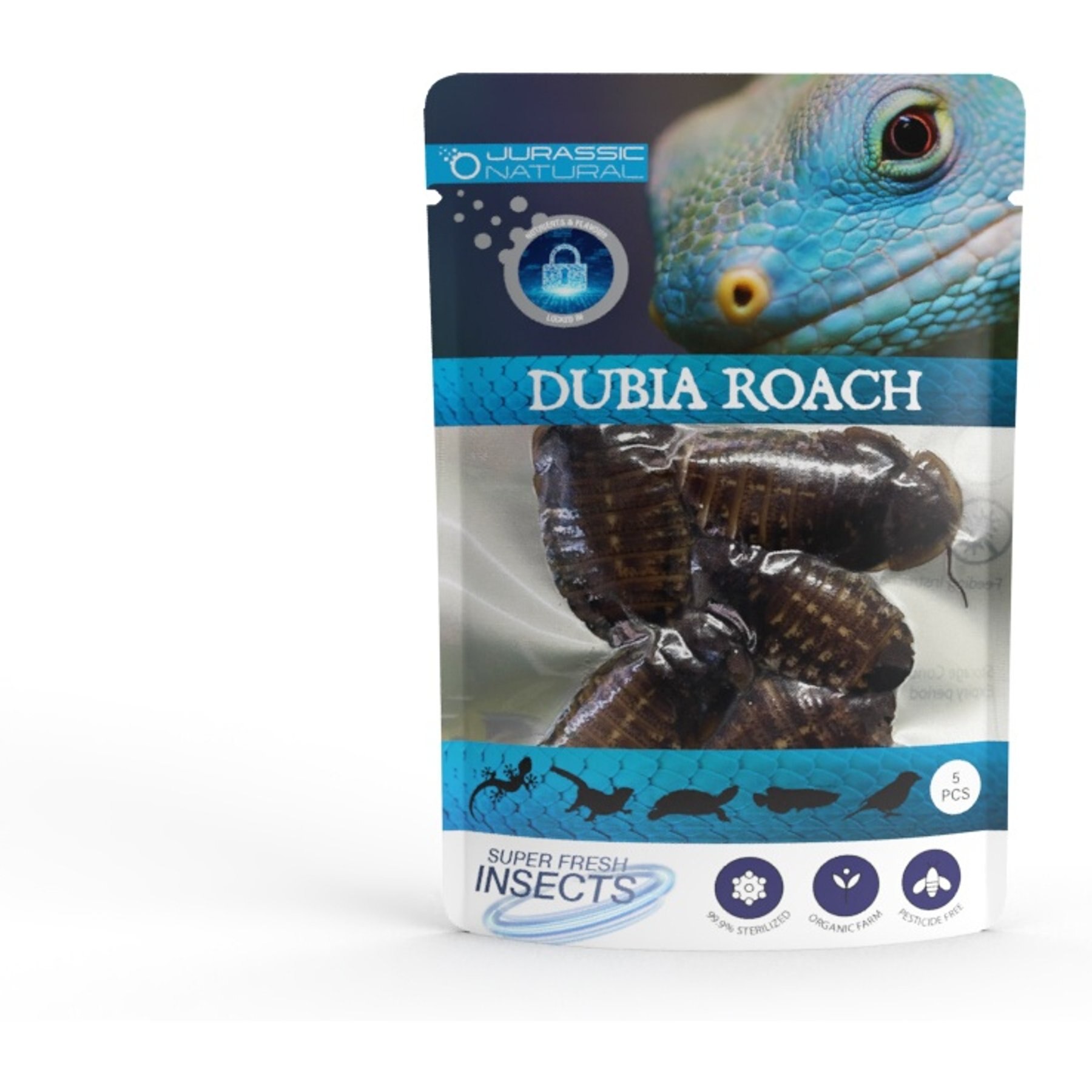 Jurassic Natural Super Fresh Dubia Roach, 5 count
