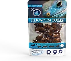Jurassic Natural Super Fresh Silkworm Pupae, 0.53-oz