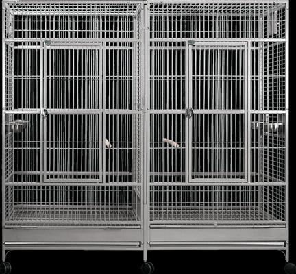 Discontinued - A&E CAGE COMPANY Double Macaw Cage & Divider, Platinum ... - Macaw Cage Place In Room Divider