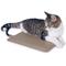 Show in main carousel: K&H Pet Products Extreme Weather Kitty Pad Petite, Tan slide 1 of 11