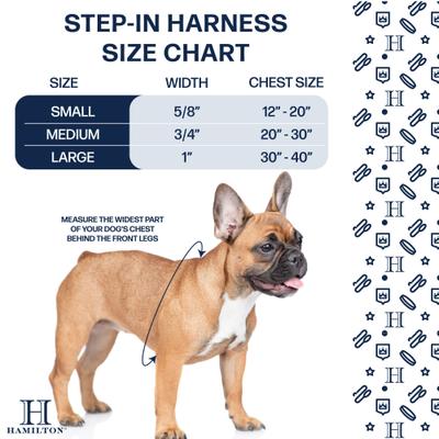 Show full view: Hamilton Eco Venture Recycled Ombre Step In Padded Dog Harness, Raspberry, Small: 12 to 20-in chest slide 3 of 6