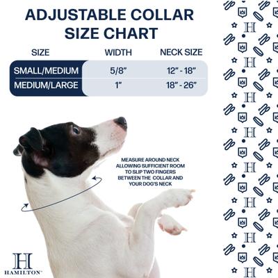 Show full view: Hamilton Eco Venture Recycled Ombre Adjustable Standard Dog Collar, Sage, Medium/Large: 18 to 26-in neck, 1-in wide slide 5 of 8