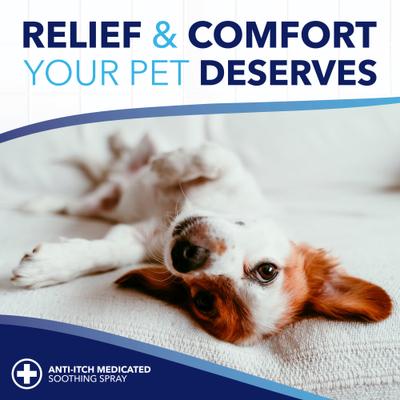 Show full view: TropiClean OxyMed Gentle Allergy Relief Dog & Cat Wipes, 50 count slide 6 of 9
