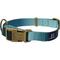 Show in main carousel: Hamilton Eco Venture Recycled Ombre Adjustable Standard Dog Collar, Sage, Medium/Large: 18 to 26-in neck, 1-in wide slide 1 of 8