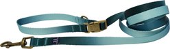 Hamilton Eco Venture Recycled Ombre Adjustable Dog Leash, Sage, Small/Medium: 4 to 6-ft long, 5/8-in wide