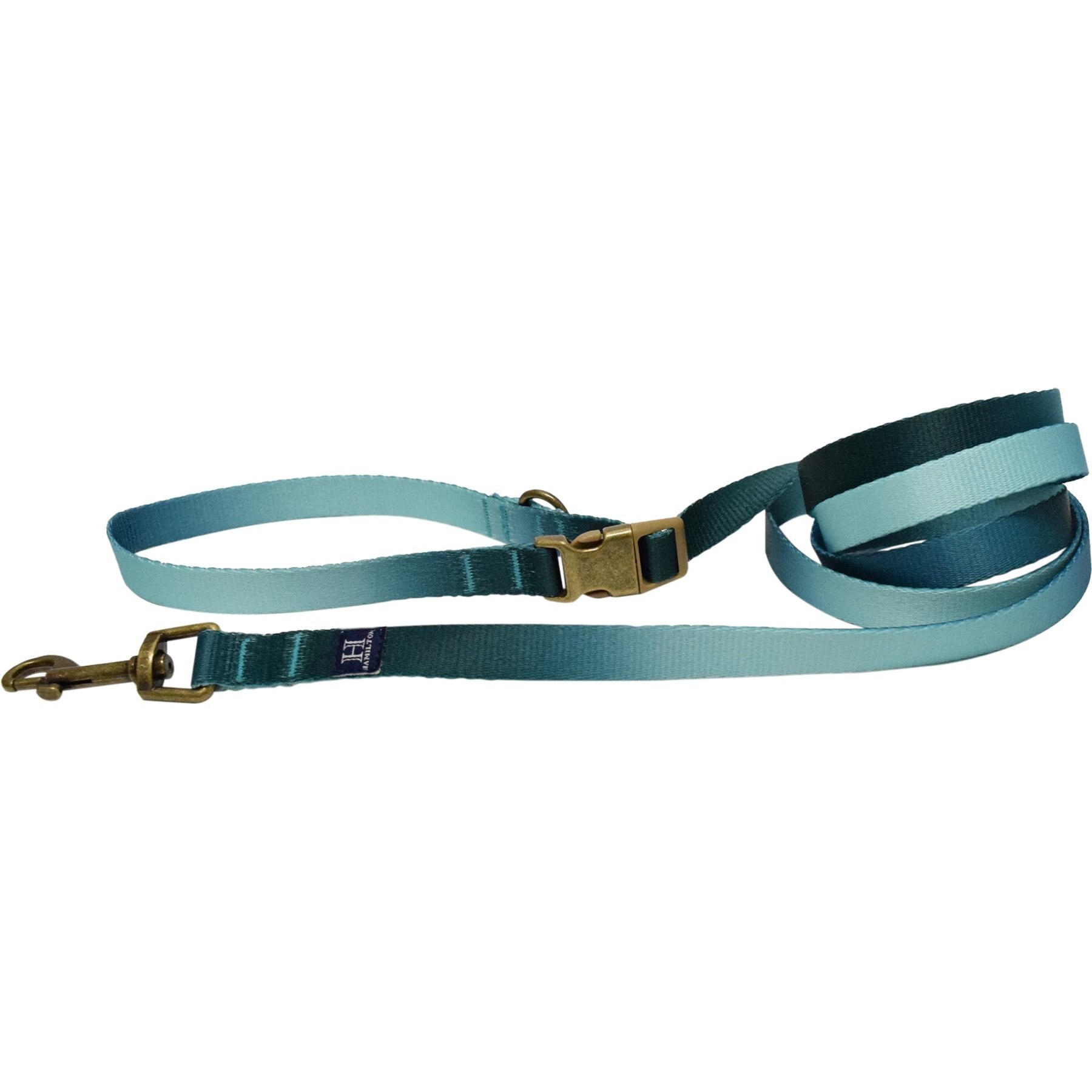 Hamilton Recycled Webbing Adjustable Dog Leash, Sage Ombre, Small/Medium: 4 to 6-ft long, 5/8-in wide