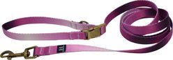 Hamilton Eco Venture Recycled Ombre Adjustable Dog Leash, Raspberry, Small/Medium: 4 to 6-ft long, 5/8-in wide