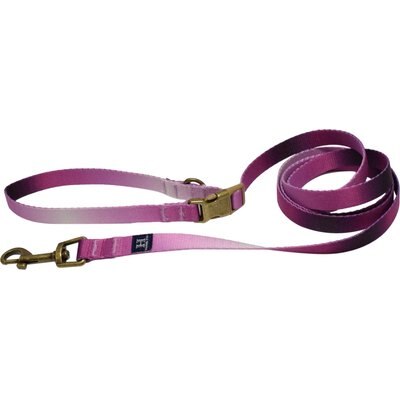 Hamilton Hamilton Recycled Webbing Adjustable Dog Leash, Raspberry Ombre, Small/Medium: 4 to 6-ft long, 5/8-in wide