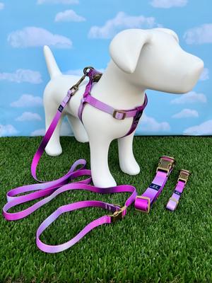 Show full view: Hamilton Eco Venture Recycled Ombre Adjustable Standard Dog Collar, Sage, Medium/Large: 18 to 26-in neck, 1-in wide slide 6 of 8