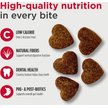 Nulo Digestive Health Functional BC30 Probiotic Chicken Recipe Grain-Free Crunchy Cat Treats, 4-oz bag