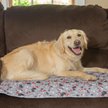 Show in main carousel: Caldwell's Pet Supply Co. Potty Pads Washable Dog Training & Pee Pads, Variety Pack, 30 x 36-in, 2 count slide 9 of 11