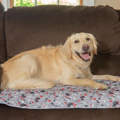 Show full view: Caldwell's Pet Supply Co. Potty Pads Washable Dog Training & Pee Pads, Variety Pack, 30 x 36-in, 2 count slide 9 of 11