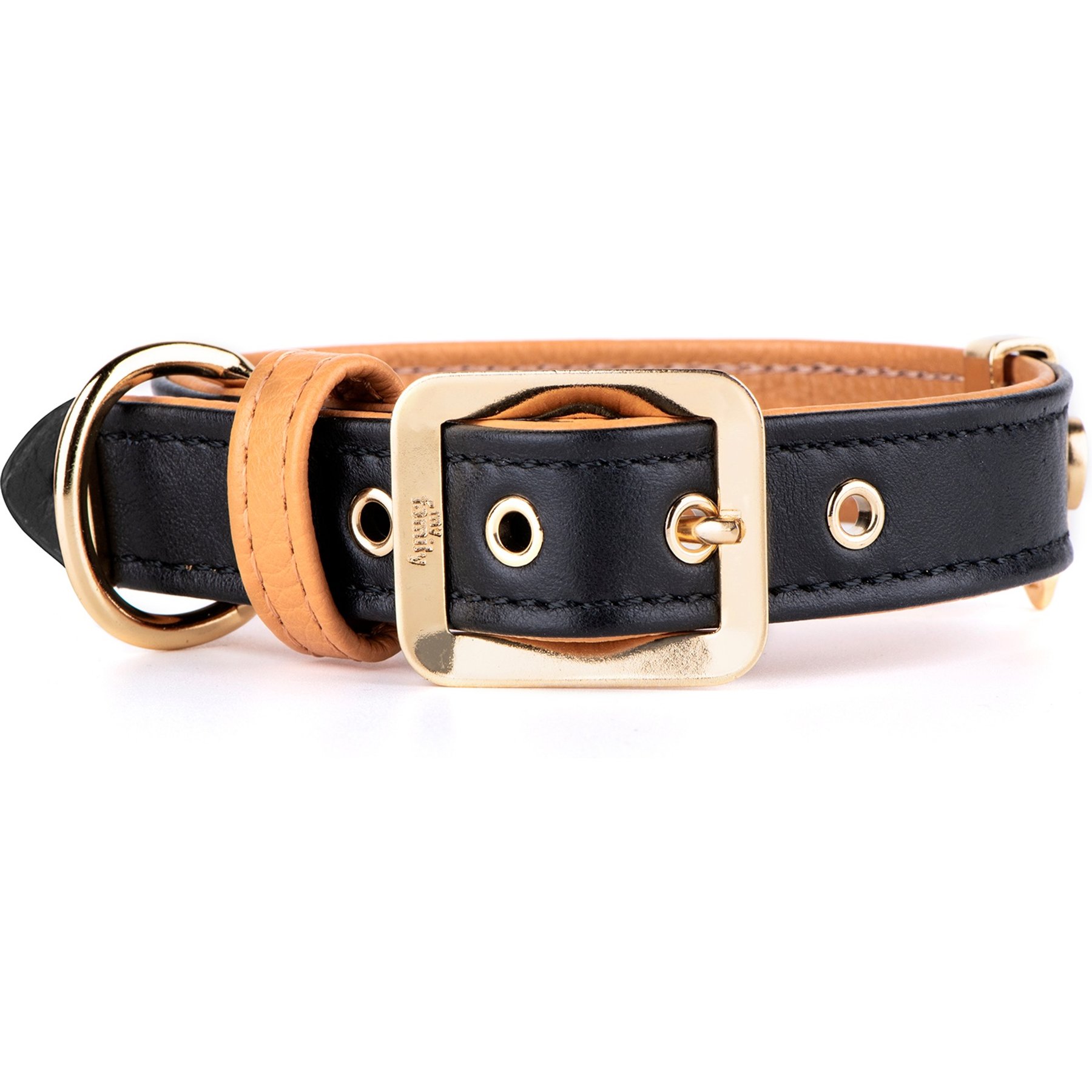 myfamily Hermitage Leather Dog Collar, Black/Tan, XX-Small: 9 to 10-in neck, 1/2-in wide