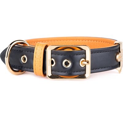 myfamily myfamily Hermitage Leather Dog Collar, Black/Tan, Medium: 14 to 16-in neck, 7/8-in wide