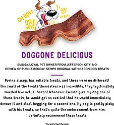 Beggin' Strips Original Bacon Dog Treats, 6-oz slide 2 of 9