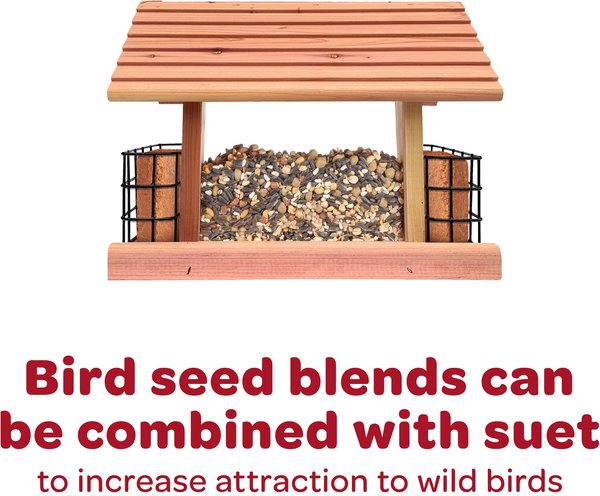 Show full view: Kaytee Striped Sunflower Wild Bird Food, 5-lb bag slide 4 of 10