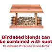 Show in main carousel: Kaytee Striped Sunflower Wild Bird Food, 5-lb bag slide 4 of 10