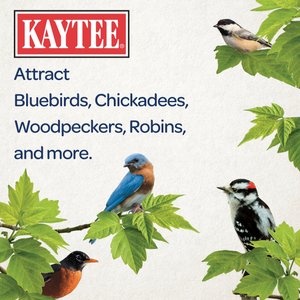 Kaytee Seed & Mealworm Wild Bird Treat Cake, 1.4-lb