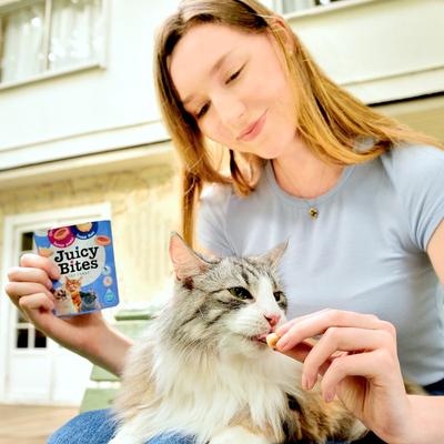 Show full view: Inaba Juicy Bites Fish & Clam Flavor Soft & Chewy Cat Treats, 0.4-oz pouch, 18 count slide 7 of 9