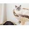 Show in main carousel: Mau Cento 46-in Modern Wooden Cat Tree & Condo, Brown slide 3 of 9