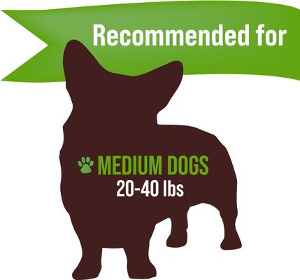 Show full view: Buck Bone Organics Whole Elk Antler Dog Chews, 4.5 - 5 in slide 5 of 7