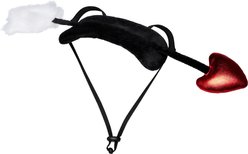Frisco Valentine's Love Arrow Dog Costume Accessory, Medium/Large