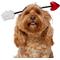 Show in main carousel: Frisco Valentine's Love Arrow Dog Costume Accessory, Medium/Large slide 3 of 8