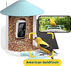 Birdfy Smart Bird Feeder Camera Solar Panel & AI Lifetime Free, Blue, 1.5L