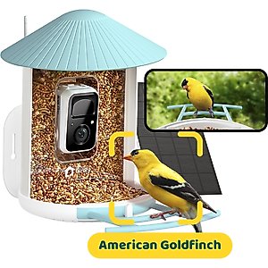 Birdfy Smart Bird Feeder Camera Solar Panel & AI Lifetime Free, Blue, 1.5L