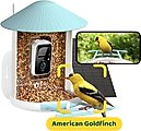Birdfy Smart Bird Feeder Camera Solar Panel & AI Lifetime Free, Blue, 1.5L