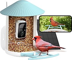 Birdfy Smart Bird Feeder Camera Solar Powered & AI Recognition, Blue, 1.5L