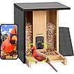Show in main carousel: Birdfy Bamboo Smart Bird Feeder with Camera AI Lifetime Free Solar Powered Motion Detection, Black, 3.5L slide 1 of 10