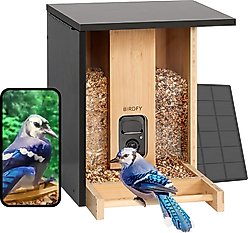 Birdfy Bamboo Smart Bird Feeder with Camera Solar Powered Motion Detection, Black, 3.5L