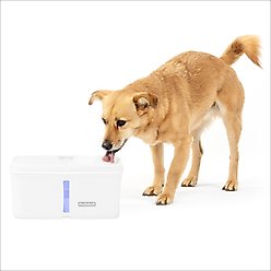 PetSafe Viva Plastic Cat & Dog Fountain, White, 140-oz