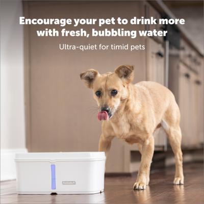 Show full view: PetSafe Viva Plastic Cat & Dog Fountain, White, 140-oz slide 3 of 10