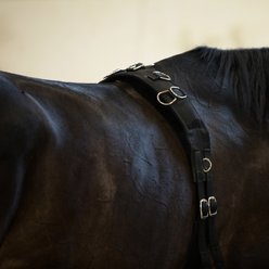 Horze Lunging Surcingle, Black, Pony slide 2 of 6