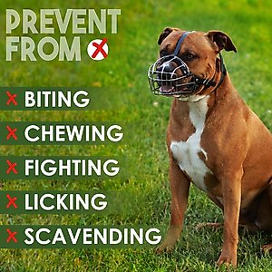 BRONZEDOG Pitbull & Amstaff Metal Wire Basket Dog Muzzle, Steel, Large