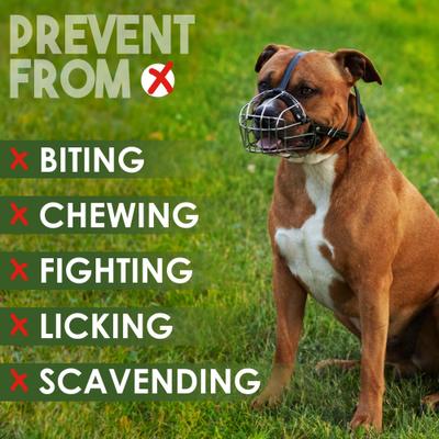 Show full view: BRONZEDOG Pitbull & Amstaff Metal Wire Basket Dog Muzzle, Steel, Large slide 7 of 8