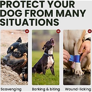 BRONZEDOG Pitbull & Amstaff Metal Wire Basket Dog Muzzle, Steel, Large