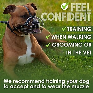BRONZEDOG Pitbull & Amstaff Metal Wire Basket Dog Muzzle, Steel, Large
