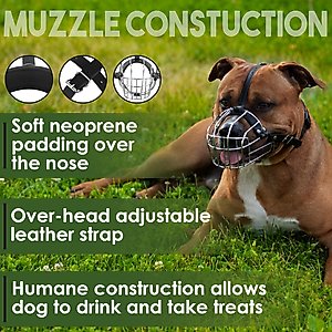 BRONZEDOG Pitbull & Amstaff Metal Wire Basket Dog Muzzle, Steel, Large