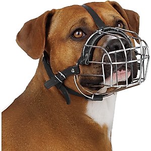 BRONZEDOG Pitbull & Amstaff Metal Wire Basket Dog Muzzle, Steel, Large
