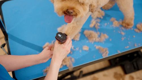 Show full view: Wahl Clipper Replacement Battery KM Supera, Black slide 6 of 8