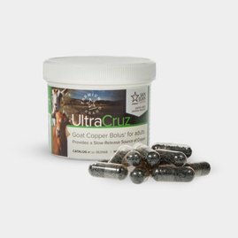Supplements